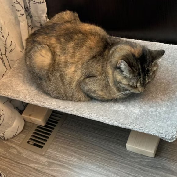 New Cat Bed For Over Registers; The Bedgister - Picture 8 of 12